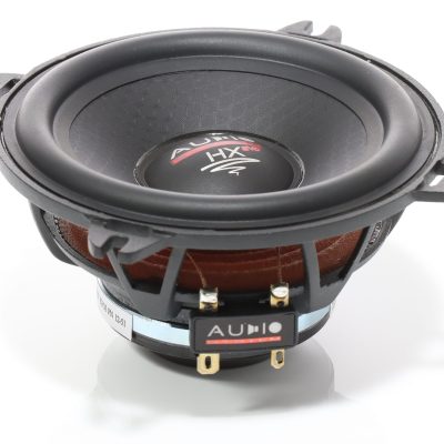 Audio System EX 100 DUST EVO 3